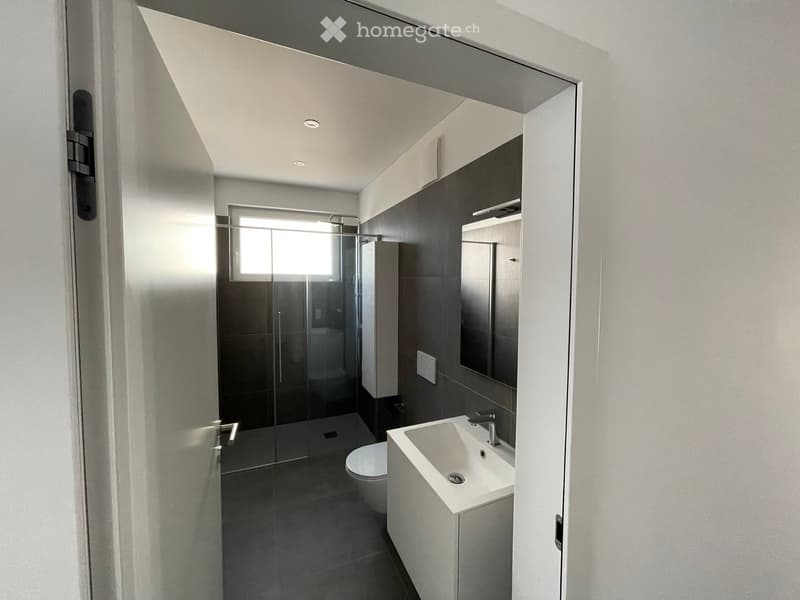 Modern bathroom with a white sink, toilet, glass-enclosed shower, and a large mirror above the sink.