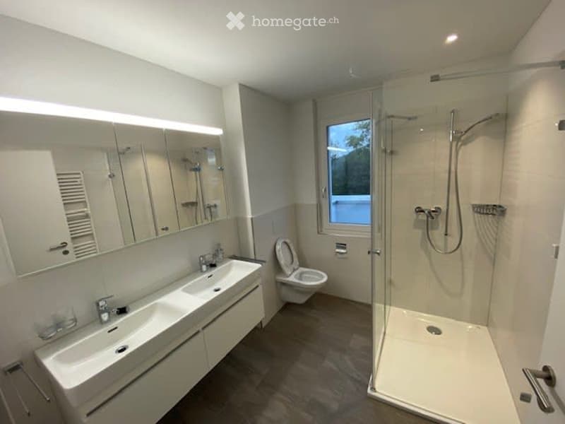 large mirror, double sink, separate shower, toilet, wooden floor, glass shower door, white walls