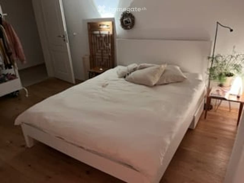 Cozy bedroom with a white bed, pillows, a nightstand with a plant, and wooden flooring.