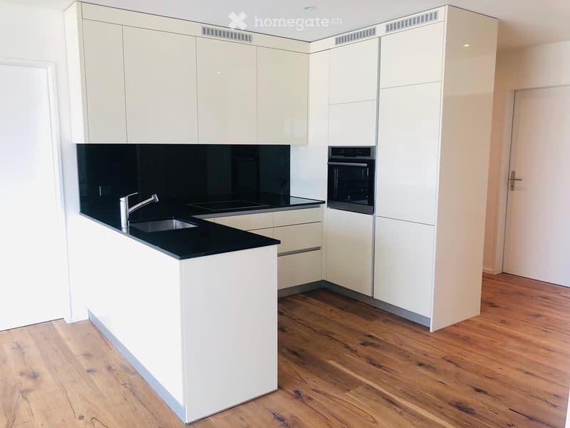 Modern kitchen with white cabinets, black countertop, stainless steel sink and faucet, and built-in oven. Wooden flooring throughout.