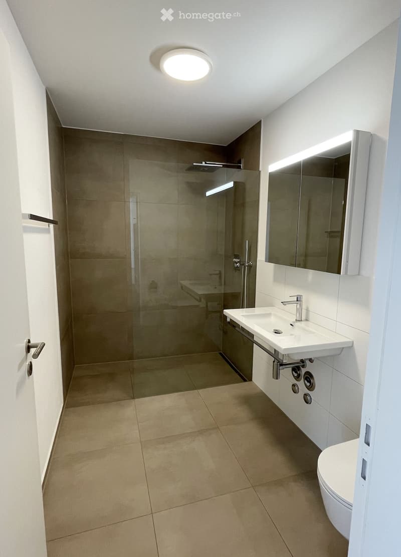 Modern bathroom with a white sink, chrome faucet, large mirror, toilet, and a glass-enclosed shower area with a rainfall showerhead.