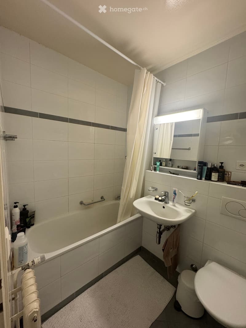 Bathroom with a bathtub, sink, mirror, toilet, shower curtain, and various toiletries. Includes a towel on the floor and a radiator on the wall.