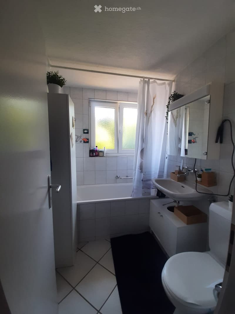 Modern bathroom with white tiles, bathtub, sink, toilet, mirror, and a small plant on the cabinet.