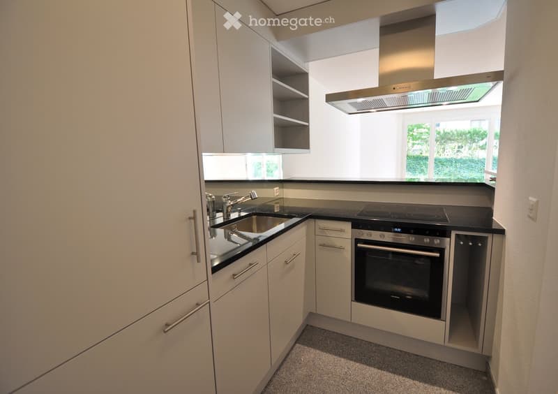 Modern kitchen with white cabinets, black countertops, stainless steel sink, faucet, oven, induction cooktop, and range hood. Natural light from windows.
