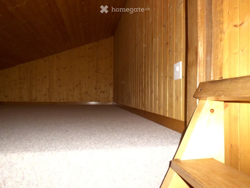 empty room, wooden walls, wooden ceiling, carpeted floor, power outlet