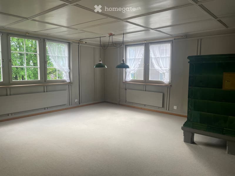 Empty room with light grey walls, white carpet, large windows with white curtains, and a green wardrobe in the corner.