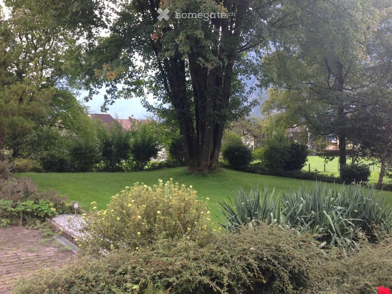 Well-maintained garden with a variety of plants, shrubs, and trees, including a prominent tree in the center and a neatly trimmed lawn.