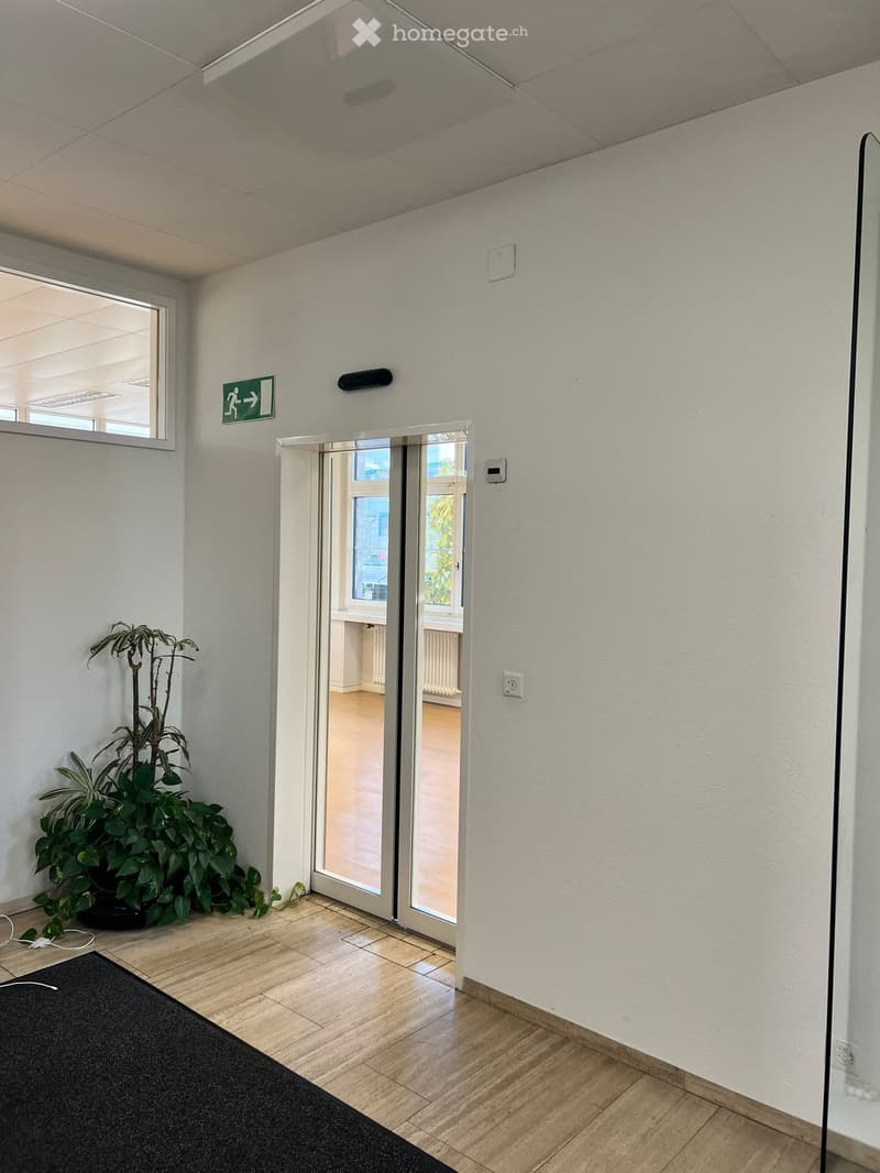 A clean, modern hallway with light-colored walls, wooden flooring, and a large potted plant near the entrance. An emergency exit sign is visible above a glass door leading to another room.