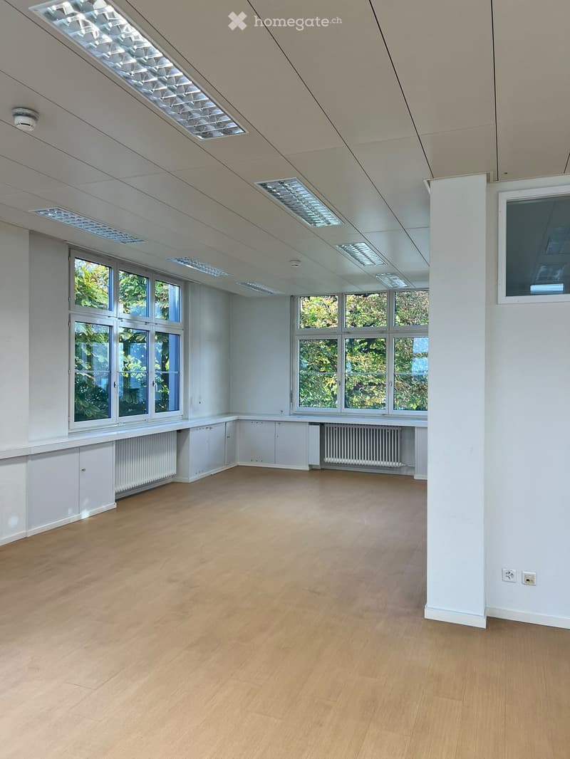 Empty room with light wooden flooring, white walls, large windows, and built-in cabinets along one wall.