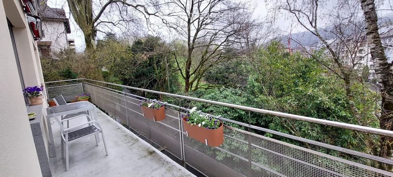 Balcony with metal railing, small table and chair, several flower pots with plants, overlooking a green, tree-filled area with distant buildings.