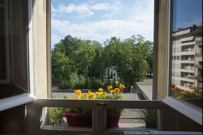 Open window view of a balcony with potted plants and flowers, overlooking a green park and buildings.