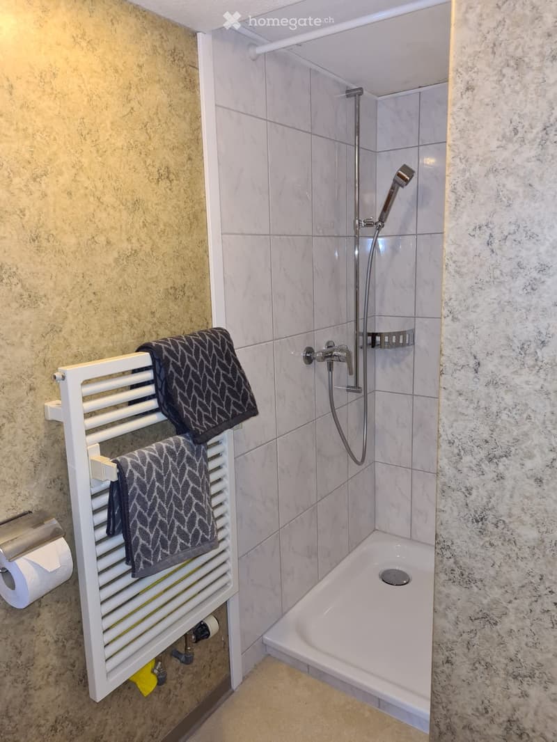 Modern bathroom with a white towel rack holding two towels, a shower with a handheld sprayer, a toilet paper holder, and a built-in shower stall.