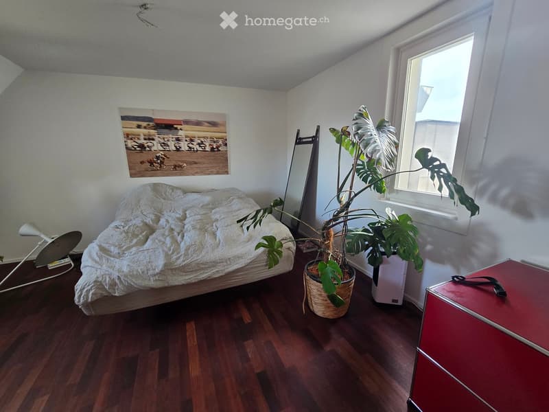 Cozy bedroom with wooden flooring, a large bed with white bedding, a potted plant, a mirror, a table lamp, and a picture frame on the wall.