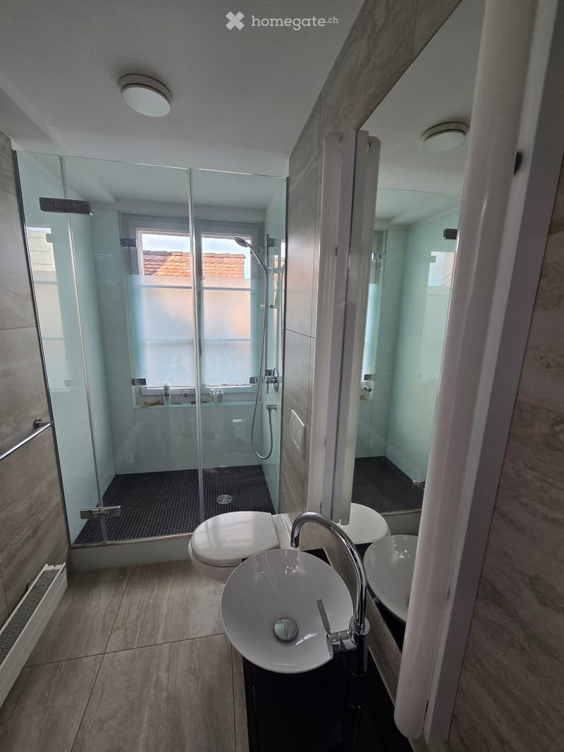 Modern bathroom with a glass-enclosed shower, toilet, two sinks, and a large mirror. The space features light-colored tiles and a sleek design.