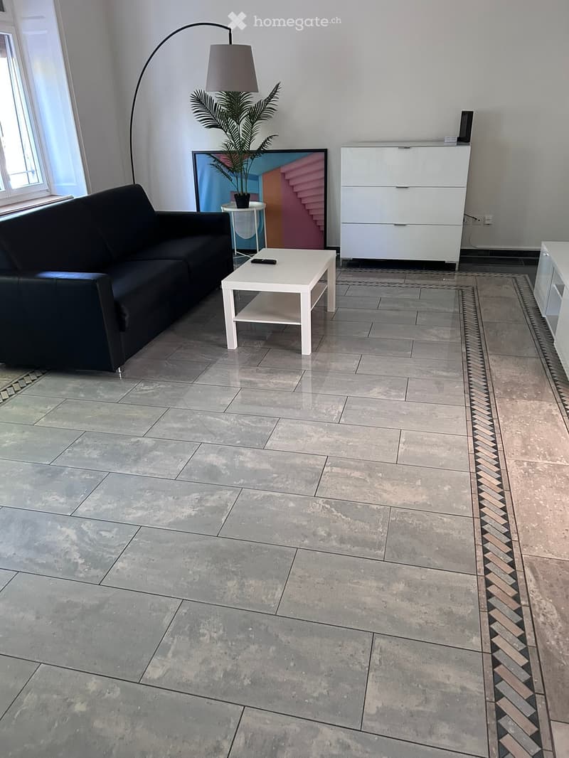 Modern living room with a grey sofa, white coffee table, floor lamp, potted plant, and a white cabinet.
