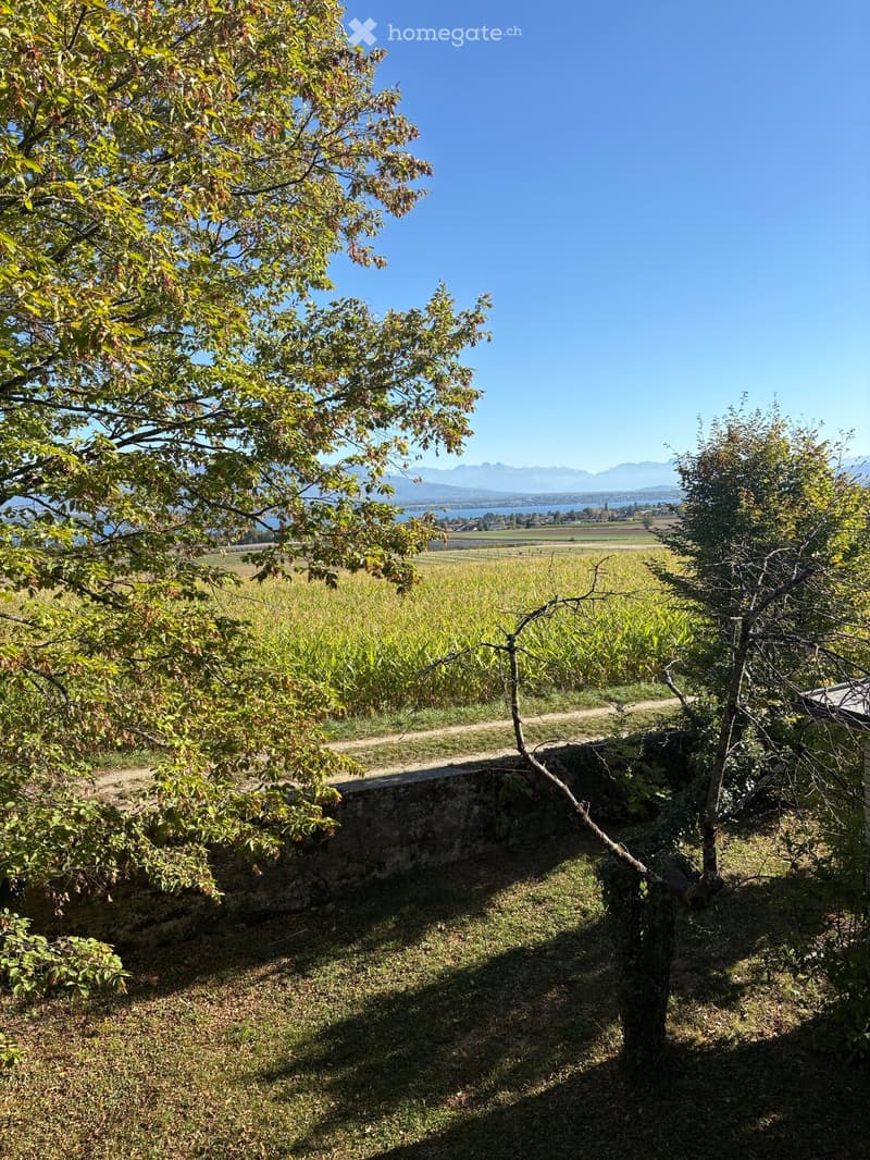 A serene garden area with a stone wall, lush greenery, and a scenic view of a lake and distant mountains.