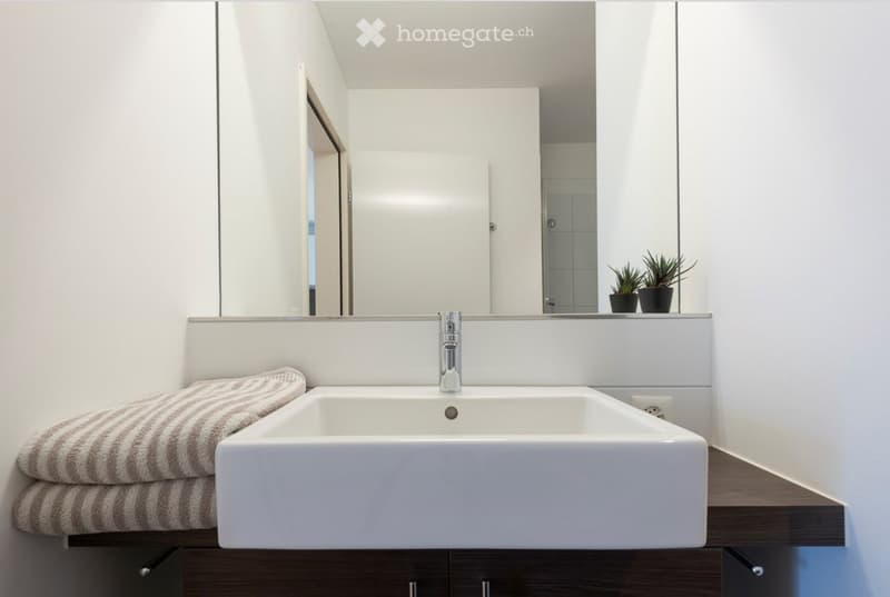Modern bathroom with a white sink, chrome faucet, large mirror, and two potted plants on the counter. A folded towel is placed on the left side.
