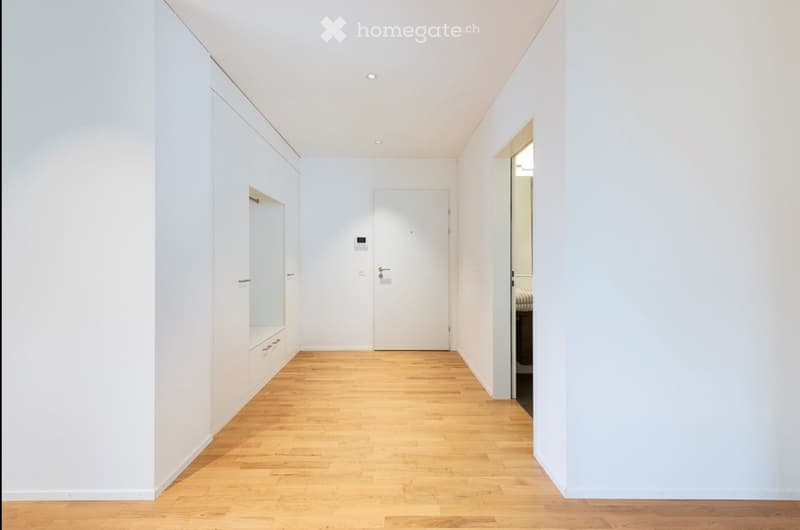 A clean, minimalist hallway with white walls, wooden flooring, and recessed lighting. Features a built-in closet on the left and a door at the end leading to another room.