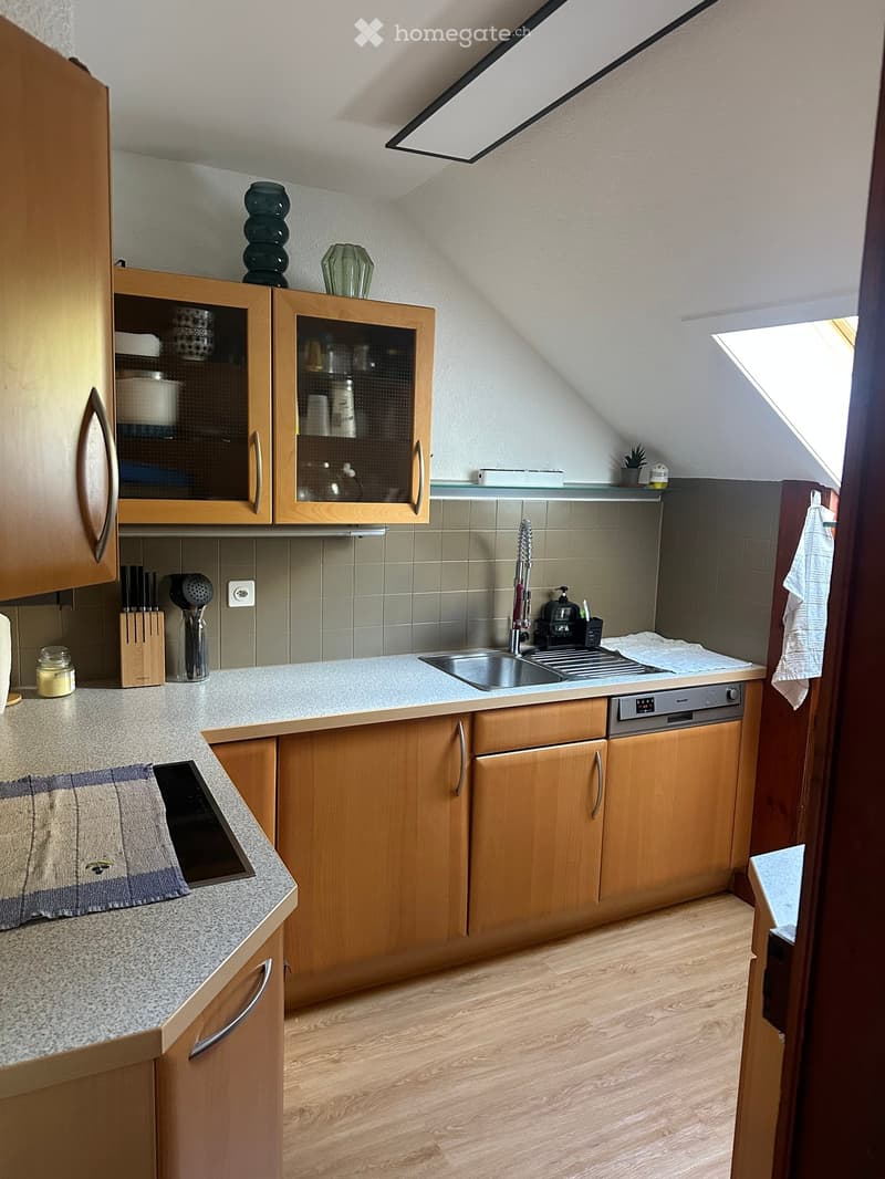 Modern kitchen with wooden cabinets, granite countertops, stainless steel sink, dishwasher, and various kitchen utensils. Features a skylight window and decorative vases on the counter.