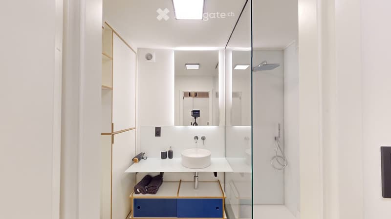 Modern bathroom with a white sink, glass shower enclosure, and a sleek, minimalist design.