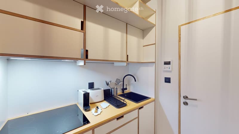 Modern kitchen with light wood cabinets, induction cooktop, toaster, sink with faucet, dish rack, and utensils.