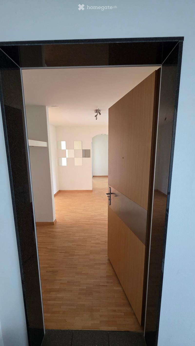 Modern hallway with wooden flooring, white walls, and a closed wooden door on the right side. The hallway features a ceiling light fixture and a small decorative wall panel on the left side.