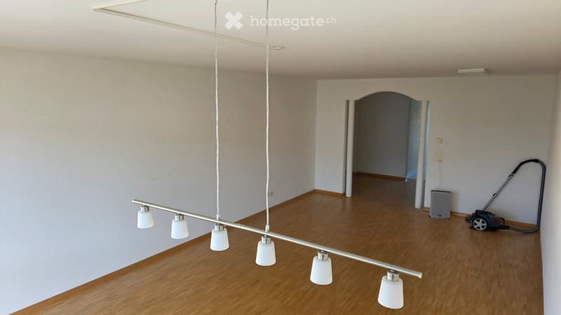 Empty room with wooden flooring, white walls, and a modern light fixture with multiple shades. A vacuum cleaner is visible in the corner.