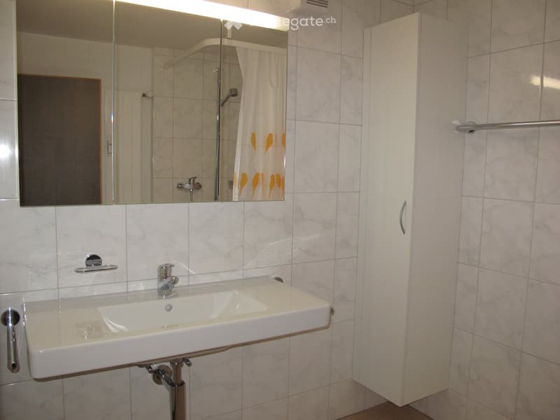 Modern bathroom with a white sink, mirror, and cabinet. The shower area is visible with a curtain featuring bird designs.