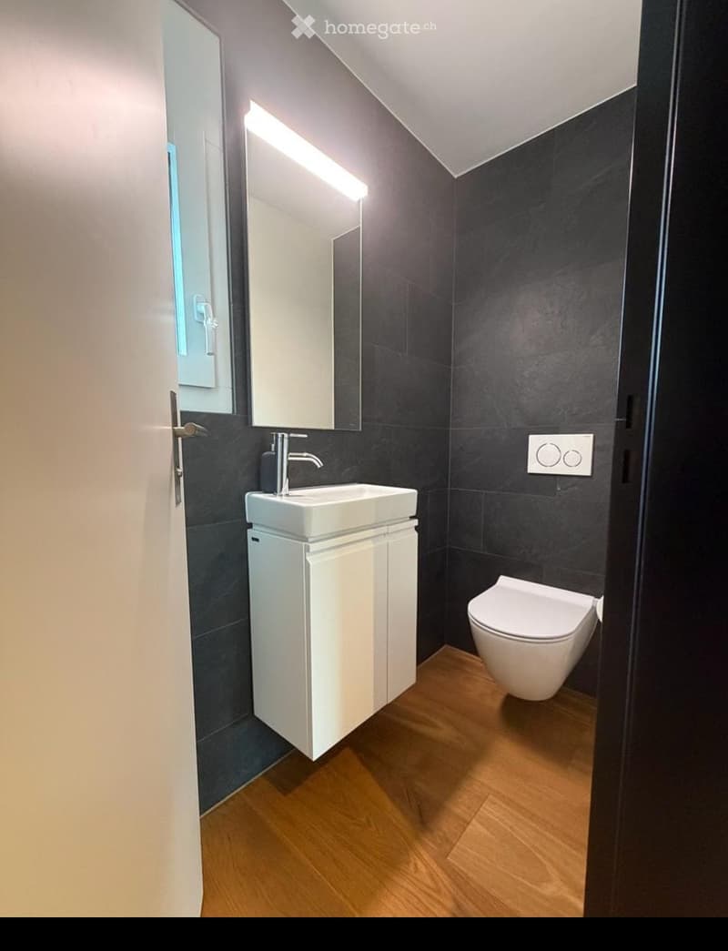 Modern bathroom with dark tiled walls, light wooden floor, white sink cabinet, toilet, and large mirror with built-in lighting.