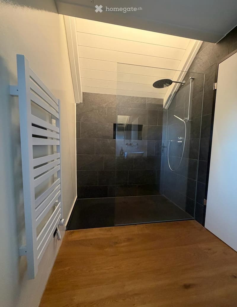 A modern hallway leading to a bathroom, featuring a glass-enclosed shower area with a modern showerhead and a white towel rack on the left side.