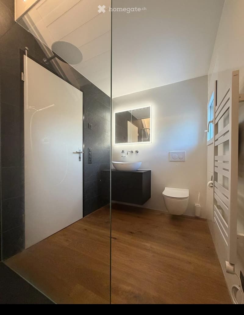 Modern bathroom with wooden flooring, a white sink on a black cabinet, a toilet, a large mirror with built-in lighting, and a glass shower enclosure.