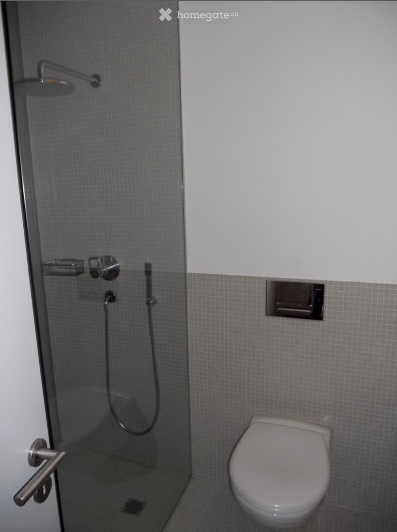 Modern bathroom with a glass-enclosed shower and a toilet. The shower features a handheld sprayer and a built-in shelf. The walls are tiled in a light gray color, and the floor is also tiled.