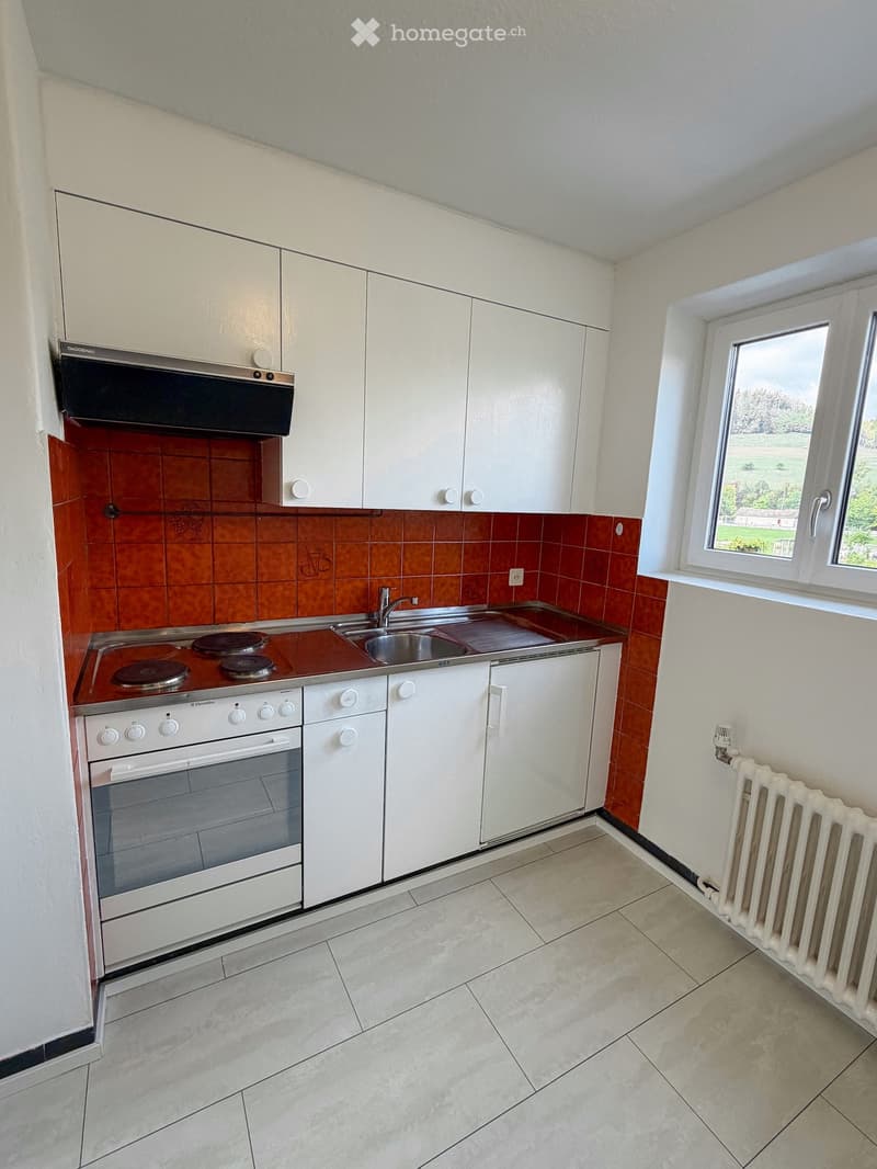 Modern kitchen with white cabinets, stainless steel sink, electric stove, and radiator. Features a window with a view of greenery.