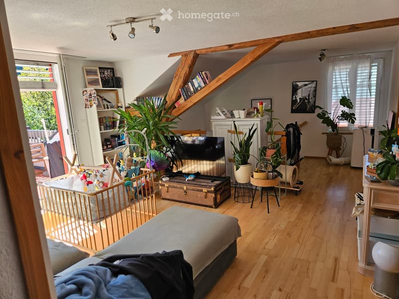 A cozy living room with wooden floors, a sofa, a TV, a bookshelf, and several potted plants. The room features a wooden ceiling with exposed beams and large windows letting in natural light.