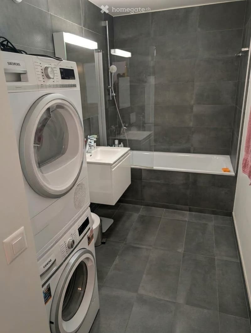Modern bathroom with dark grey tiles, a white sink, a bathtub, a glass-enclosed shower, and a stacked washing machine and dryer unit.