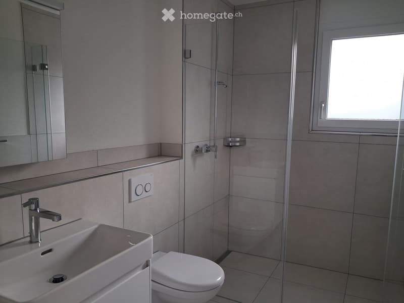 Modern bathroom with a white sink, chrome faucet, mirror, toilet, and a glass-enclosed shower area.