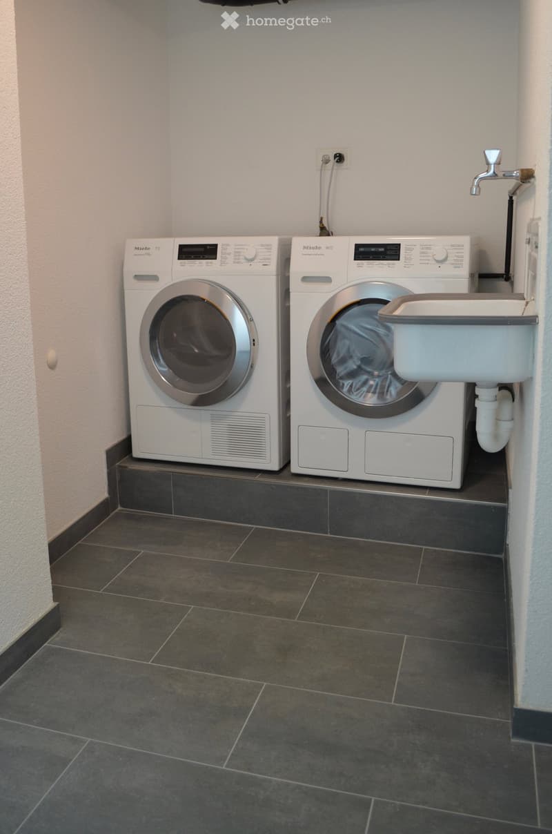 Clean, modern bathroom with a washing machine, dishwasher, and a small sink.