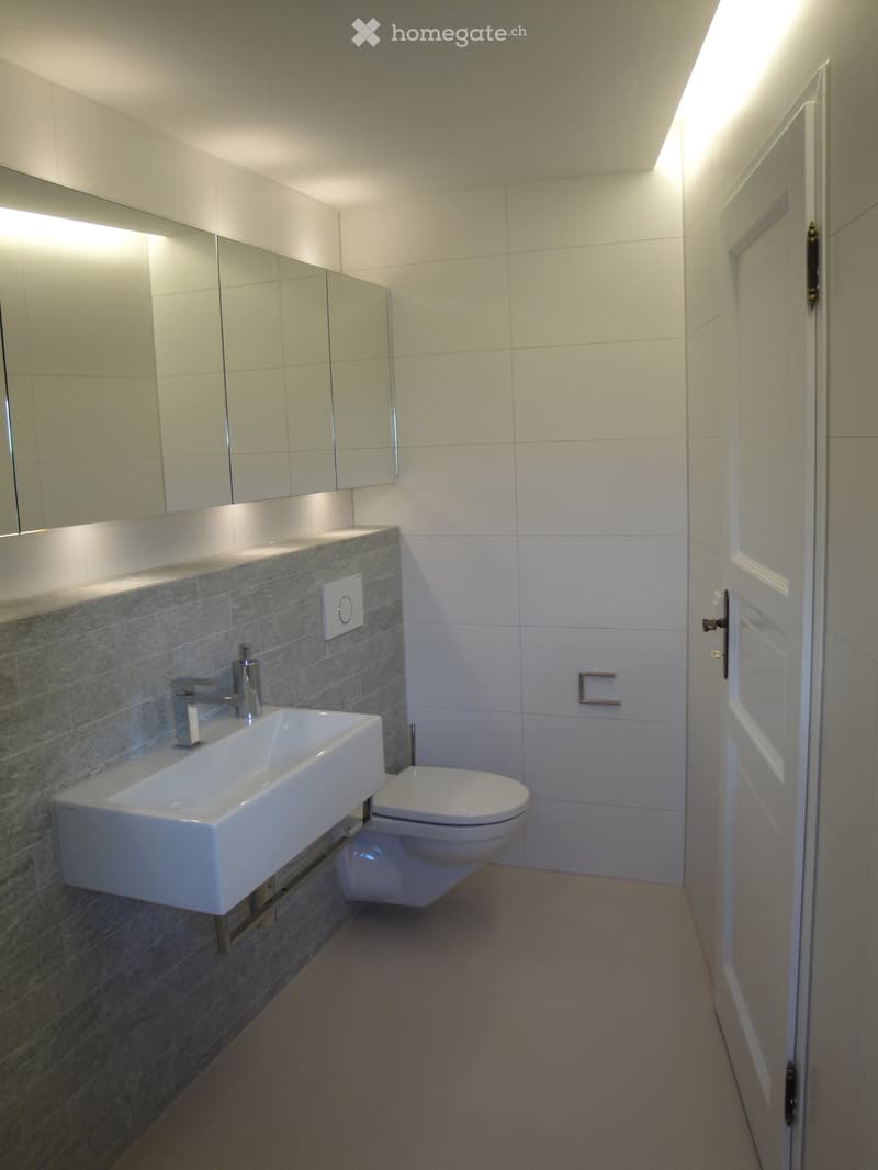 Modern bathroom with a white sink, chrome faucet, toilet, mirrored cabinet, and sleek gray tiled wall accents.