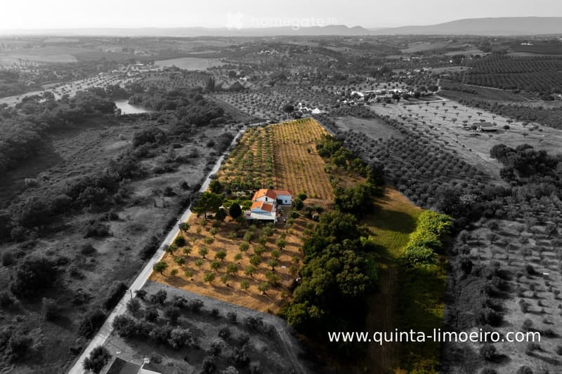 Aerial view of a rural landscape featuring a house with a red-tiled roof, surrounded by olive groves, fields, and scattered trees. The area includes a road leading to the house and distant hills in the background.