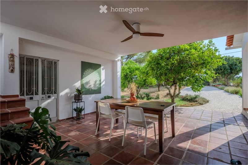 A covered outdoor patio with a wooden table, white chairs, a ceiling fan, and potted plants, overlooking a garden with trees and a pathway.