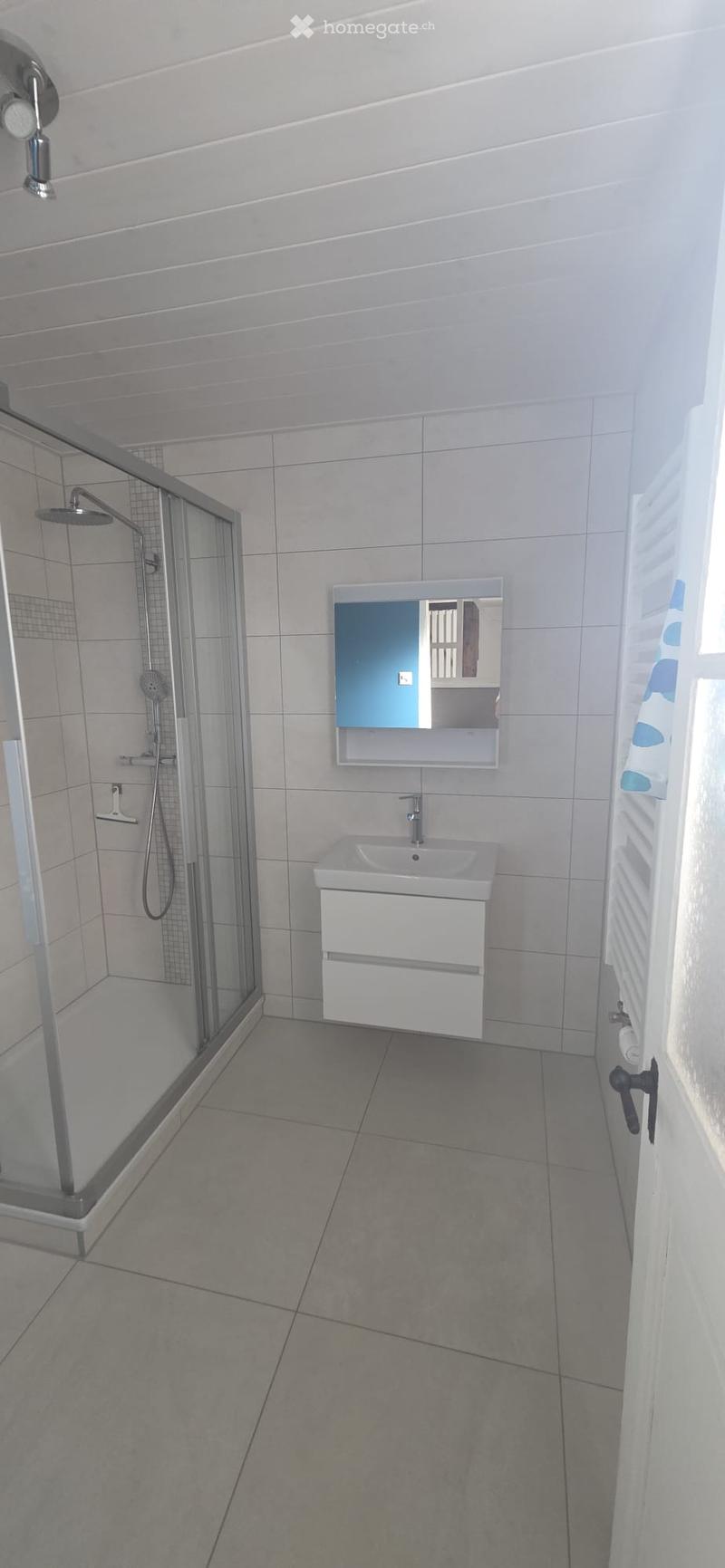 Modern bathroom with a white sink, mirror, and glass-enclosed shower. The walls are tiled in light gray, and the floor is tiled in a matching gray.