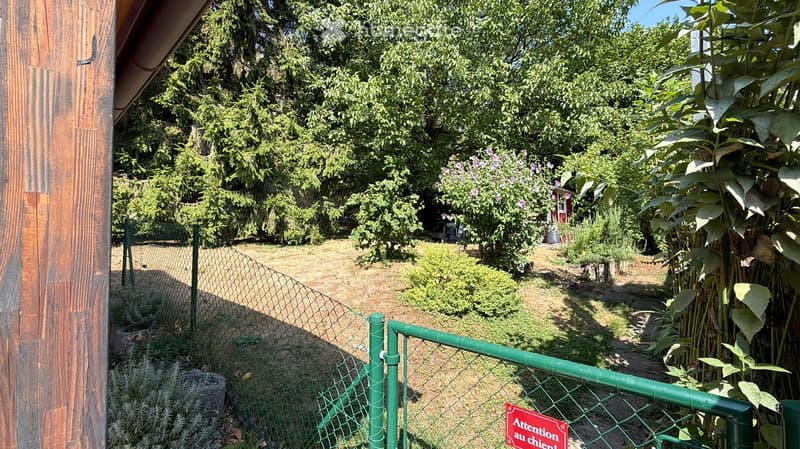 A fenced garden area with various plants, trees, and a small pathway. The area includes a wooden fence on one side and a metal fence on the other, with a sign warning about dogs.
