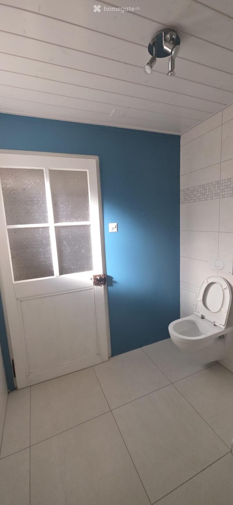 Modern bathroom with a white toilet, blue accent wall, white door with frosted glass panels, and a ceiling light fixture.