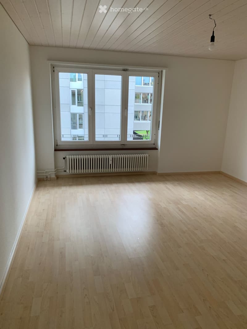 Empty room with light wooden flooring, white walls, large window with radiator below, and a single hanging light fixture.