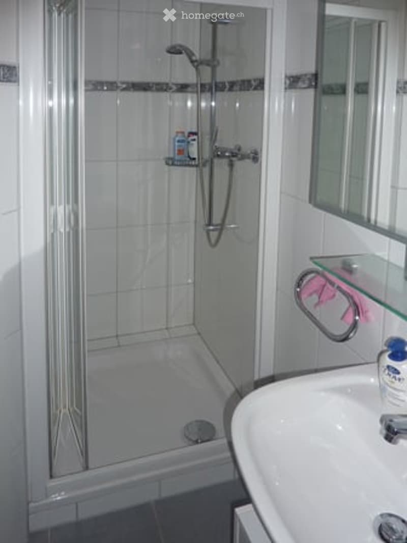 Modern bathroom with a glass-enclosed shower, a sink with a mirror, and a bottle on the sink counter.