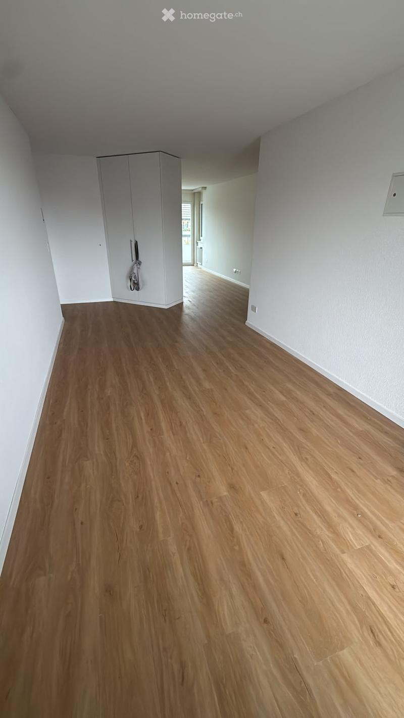 Empty room with light wooden flooring and white walls, featuring a built-in closet with a mirror and a small hanging item.