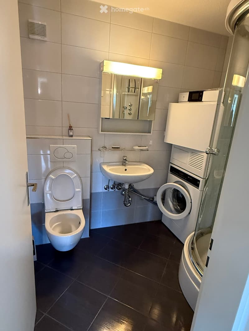 Modern bathroom with a toilet, sink, mirror, washing machine, and shower. The room features dark tiled flooring and white tiled walls.