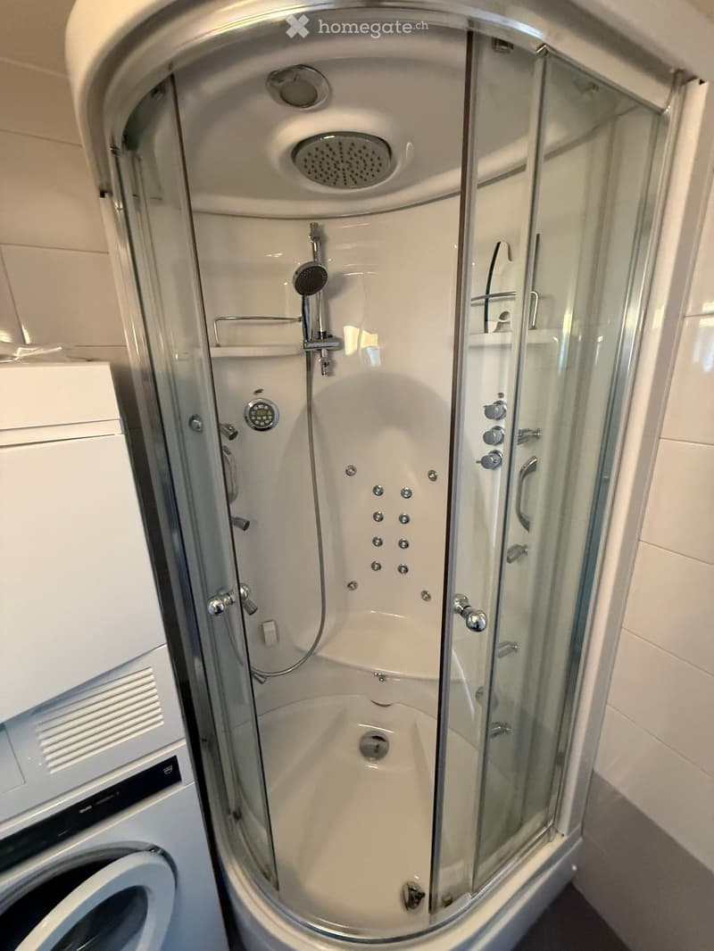 Modern shower stall with glass enclosure, multiple showerheads, and control panel.