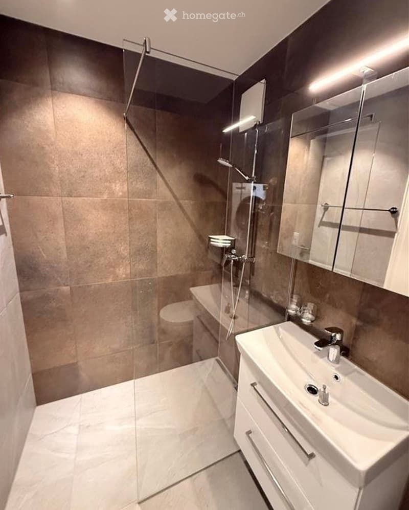 Modern bathroom with a glass-enclosed shower, white sink with cabinet, and a toilet. The walls are tiled in a warm brown color, and the floor is made of light-colored tiles.