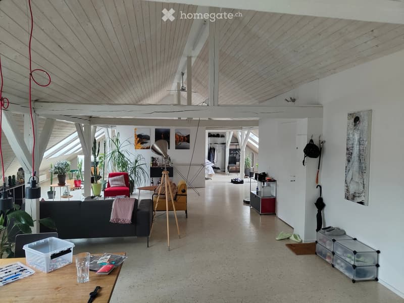 Open-concept living space with exposed wooden beams, skylights, and modern furniture including a sofa, chairs, a coffee table, and potted plants.